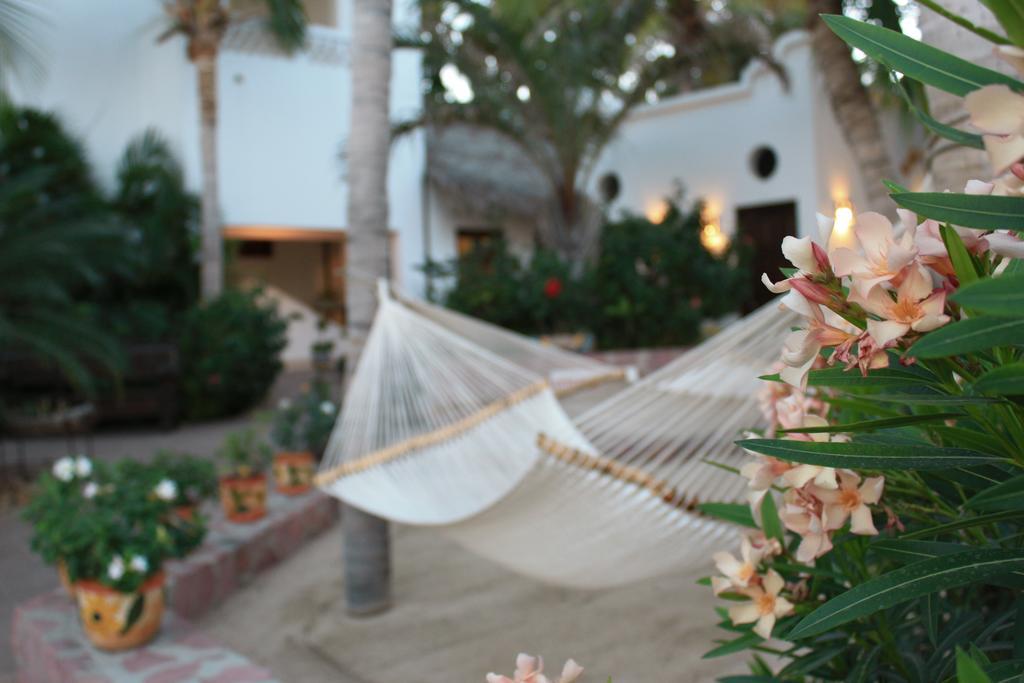 Casa Costa Azul Hotel San José del Cabo Exterior foto