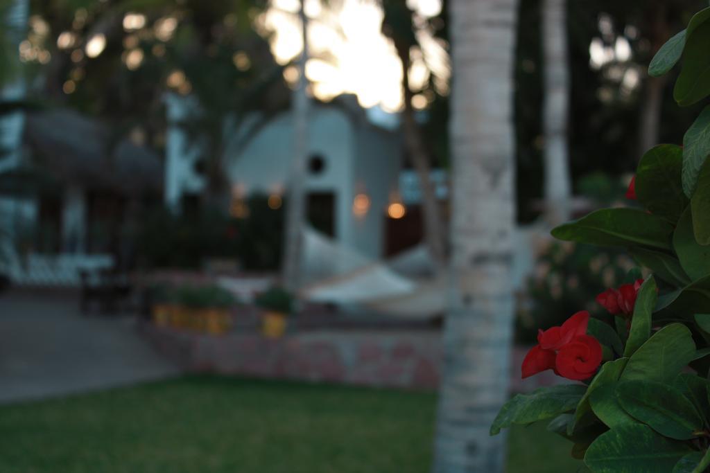 Casa Costa Azul Hotel San José del Cabo Exterior foto